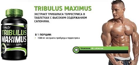 Tribulus Maximus 90таб тестостероновый бустер от Biotechusa купить