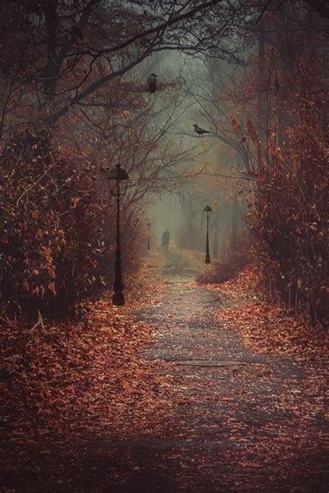 Creepy Places for Autumn Photography