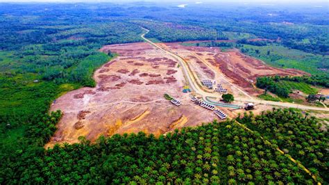 Reforma Agraria Jokowi Tembus Target Apa Buktinya Bisnis Liputan6