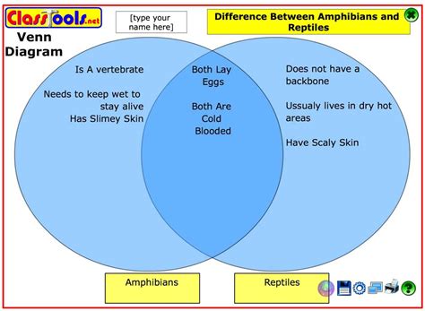 Guidelines For Creating And Interpreting Venn Diagrams