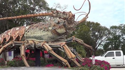 Guinness World Record Lobster Lol And Worlds Biggest Lobster Rain Barrel