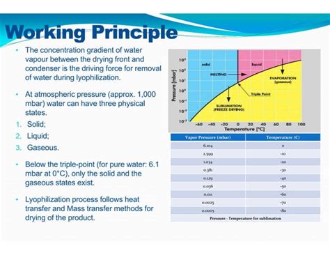 Lyophilization Process PPT