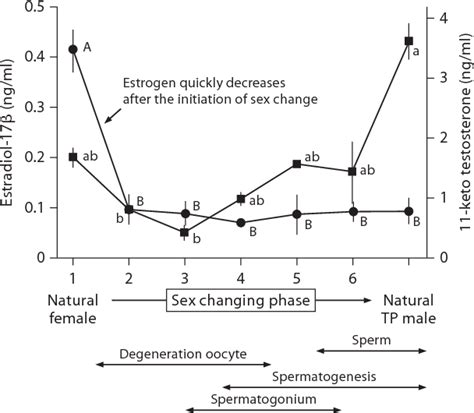 Diversity And Plasticity Of Sex Determination And Differentiation In