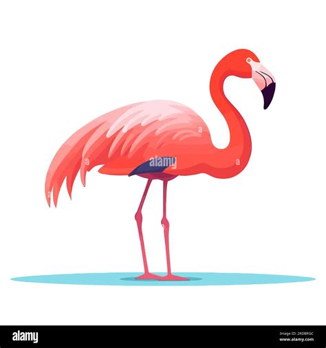 Flamingo Logo Design Drawing Image Of Pink Flamingo Cute Flamingo