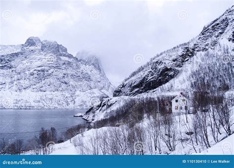 Norwegian Fjord Surrounded By Snowy Mountains Stock Photo Image Of