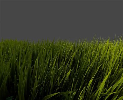 3d Model Grass Geometry Nodes Blender Vr Ar Low Poly Cgtrader