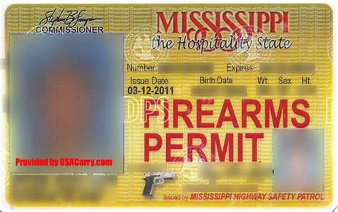 Concealed Carry Weapon Permit Examples