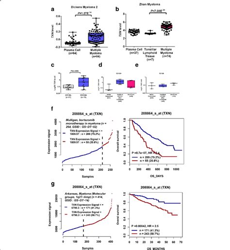 High Expression Of Txn Is Associated With Poor Prognosis In Patients