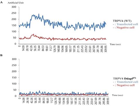 Interaction Between Psd And Trpv Through Pdz Domain Controls Trpv