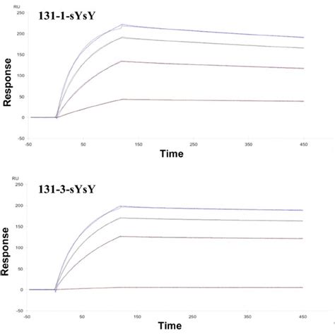 Spr Sensorgrams Determined At 25 °c For 412d Yy 412d H100sy