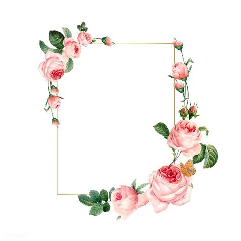 rose flower frame vector   browser images full