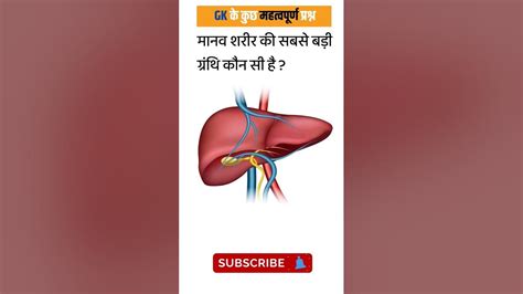 मानव शरीर की सबसे बड़ी ग्रंथि Biggest Gland In Human Body Gk Science Science Shorts Viral