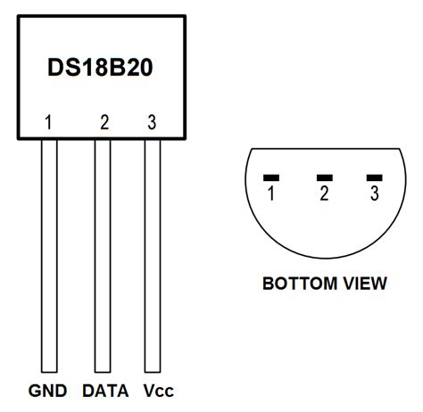 Raspberry Pi DS18B20 Temperature Sensor Tutorial - Circuit Basics, ds18b20