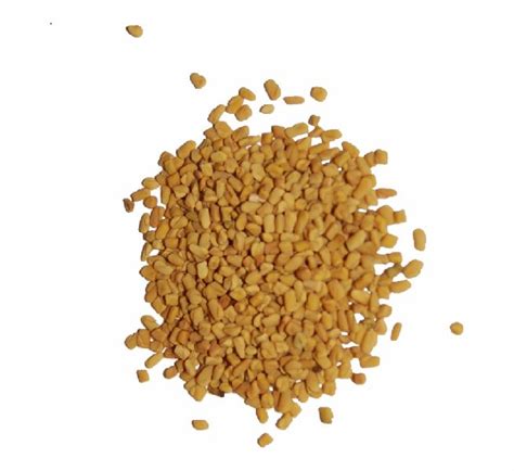 Common Fenugreek Seed Packaging Type Jute Bags PP Bags Packaging