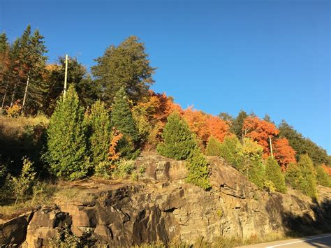 Free Images Landscape Tree Rock Wilderness Trail Leaf Hill