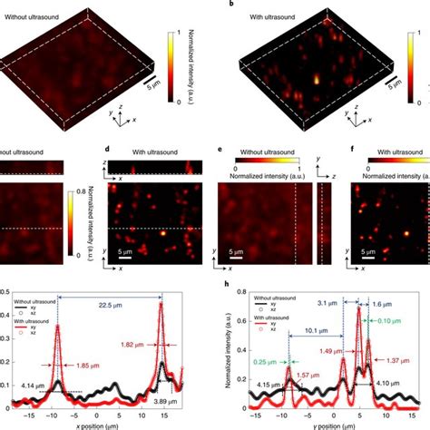 D Images Of M Fluorescent Beads Inside The Tissue Mimicking