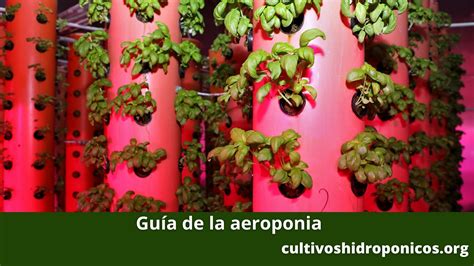 Guía De La Aeropónica Cultivos Hidropónicos