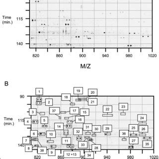 Figure2 Samplesection Of 2D Representation Of Datapresented By MSight