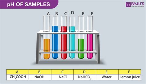 Ph Of Samples Experiment Cbse Class 10 Science Practicals