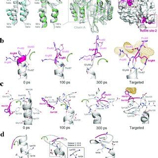 The Conformational Transitions Of S And S Helices Observed