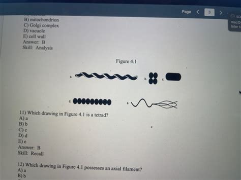 Microbiology II Flashcards Quizlet