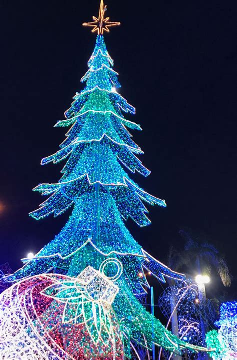 Natal Florianópolis Árvore luminosa Luz Forma