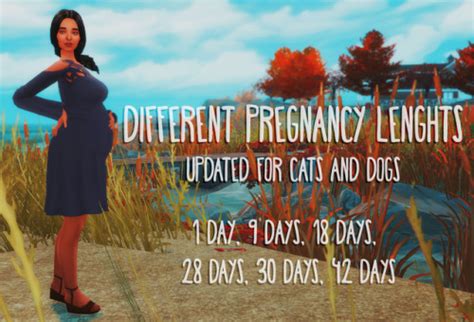 The Sims 4 Pregnant Belly Mod Perhand