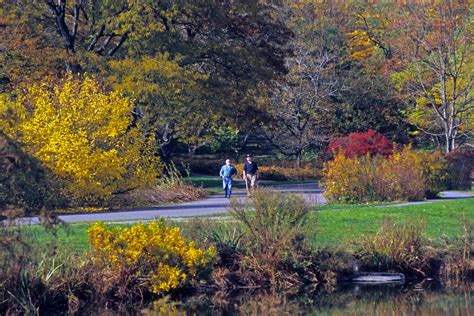 Where To See Fall Foliage In Boston And Across Massachusetts