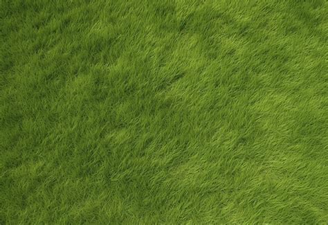 Premium Photo | Lush Green Grass Texture Background