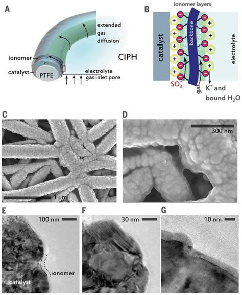 Catalysts Free Full Text Electrochemical Reactors For CO2 Conversion