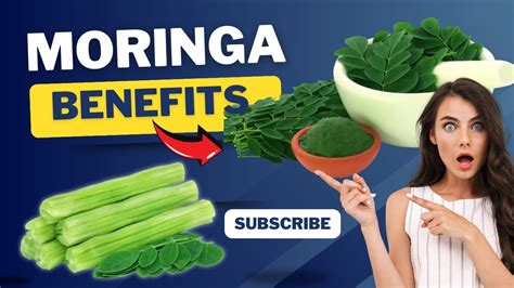 Amazing Benefits Of Moringa The Miracle Tree For Health And Wellness