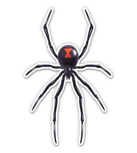 Black Widow Spider Decal