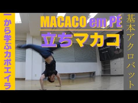 Tutorial Macaco Em P