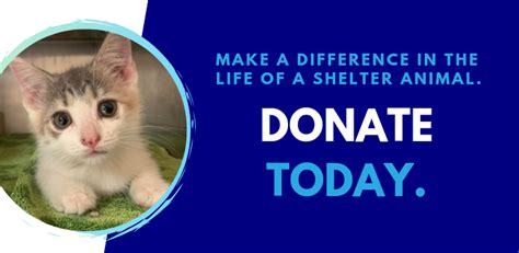 Animal Shelter Donate