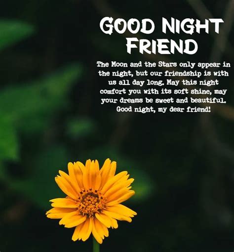 40 Good Night Messages For Friends Pictures And Quotes for Goodnight ...