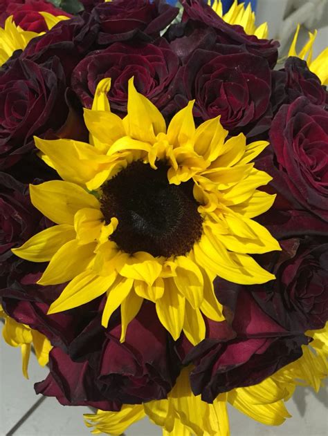 Sunflowers With Red Black Bacarra Roses Bouquet Made By Coral Carinus