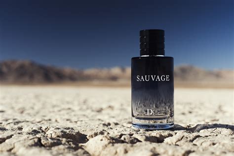 Купить Оригинальная мужская туалетная вода Саваж Sauvage 100 ml, пряный ...