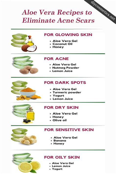 recipes for aloe 4