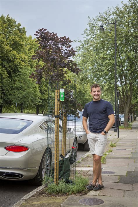 Let's fill Islington with trees - Trees for Streets