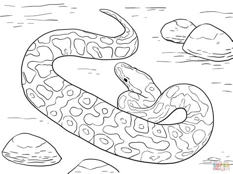 Unique Coloriage De Serpent Anaconda A Imprimer Haut Coloriage Hd