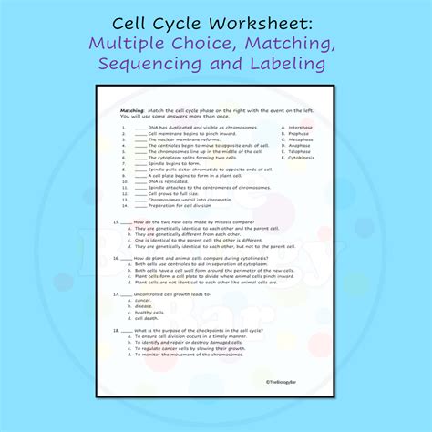 Cell Cycle Mitosis Worksheet Differentiated Digital Options