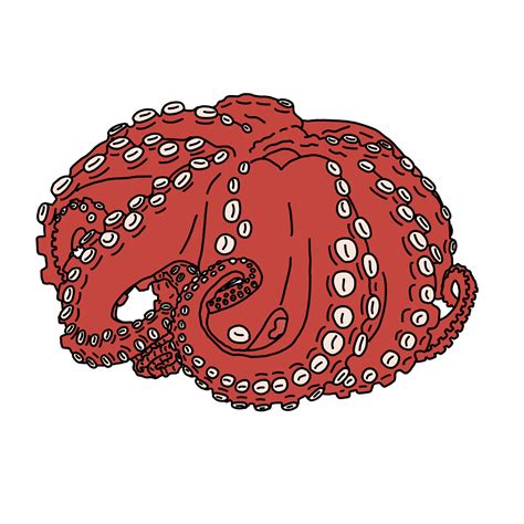 red octopus animal 4