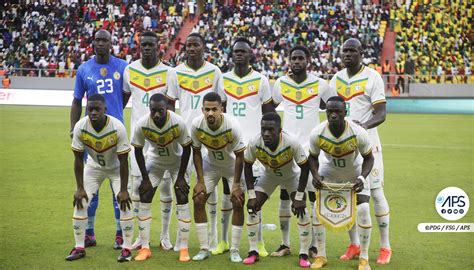 Senegal Cameroun Football Match Amical Le S N Gal Va Affronter Le