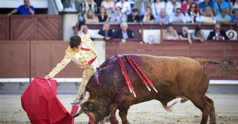 Estilo Taurino SIN OPCIONES LOS TOROS DE LA VENTANA DEL PUERTO