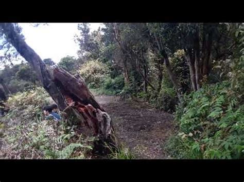 Upas Hill Gunung Tangkuban Perahu 2084MDPL Sukawana YouTube