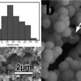 The Low A And High B Magnification Fe Sem Images Of The As Prepared