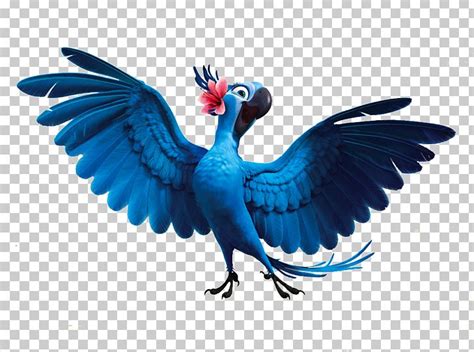 Blu Rio Film PNG, Clipart, Beak, Bird, Blu, Cartoon, Cartoons Free PNG ...