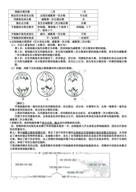 高中生物必修二《遗传与进化》知识点总结人教版 21世纪教育网