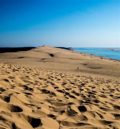 Le Plus Beau Camping De La Dune Du Pilat Pourquoi Il Devrait Tre