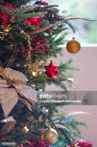 Venezuela Christmas Tree Photos and Premium High Res Pictures - Getty ...